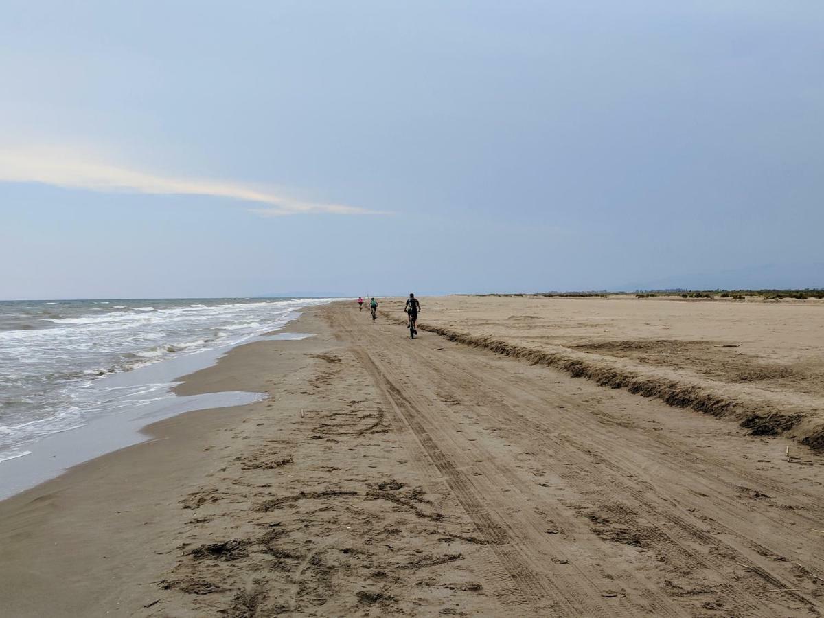 Ca Na Vinyet Villa El Poble Nou del Delta Buitenkant foto