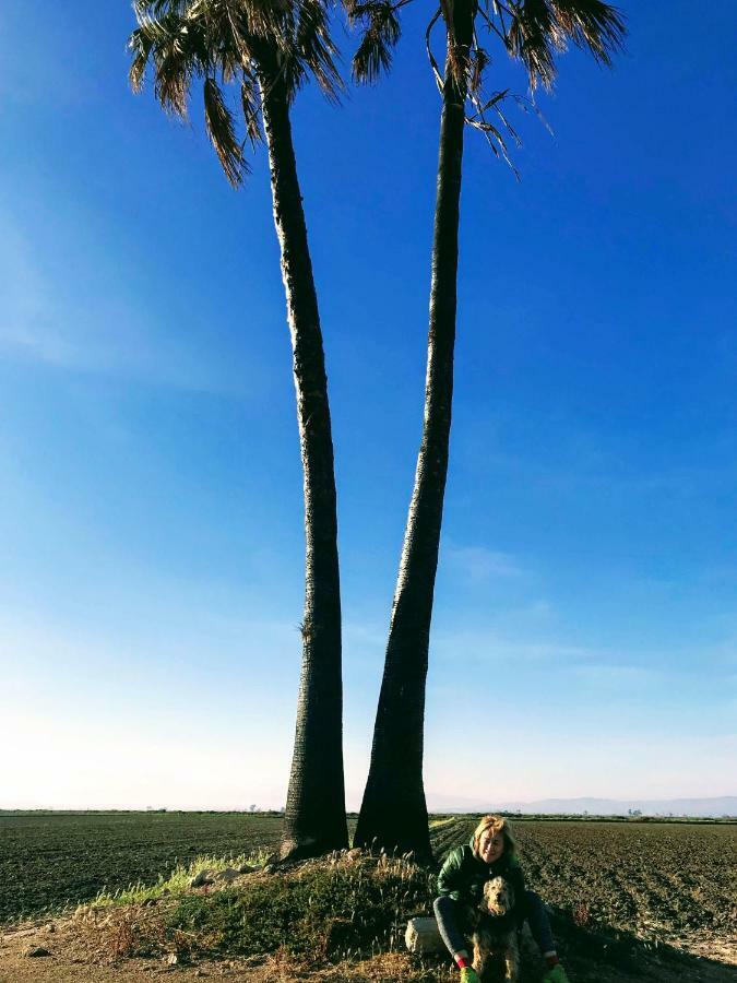 Ca Na Vinyet Villa El Poble Nou del Delta Buitenkant foto