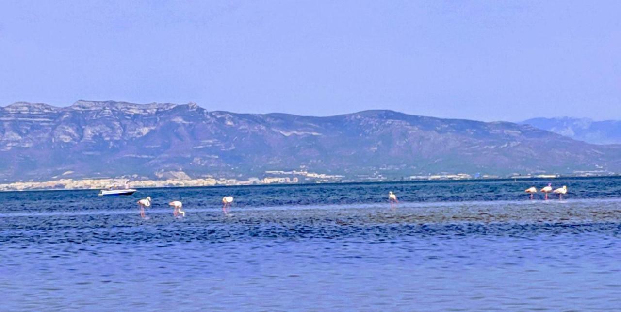 Ca Na Vinyet Villa El Poble Nou del Delta Buitenkant foto