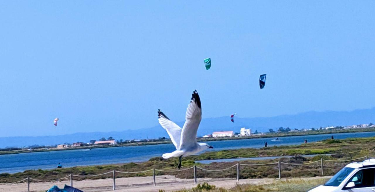 Ca Na Vinyet Villa El Poble Nou del Delta Buitenkant foto