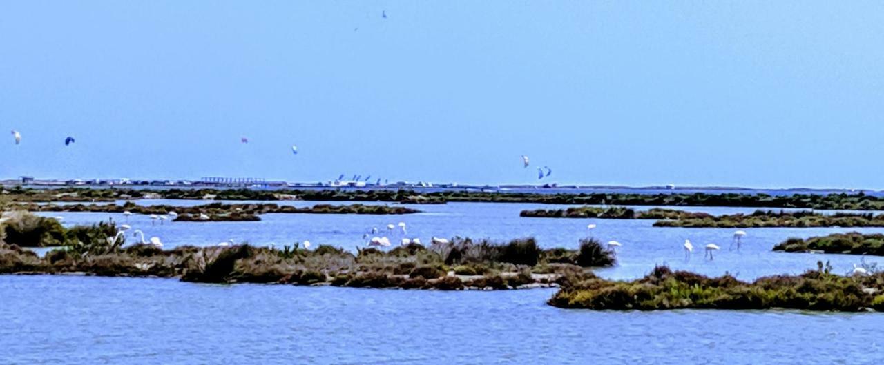 Ca Na Vinyet Villa El Poble Nou del Delta Buitenkant foto